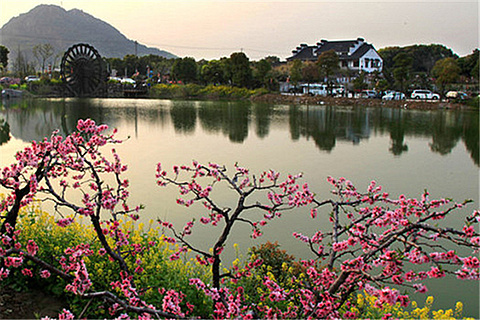 阳山桃园农家乐