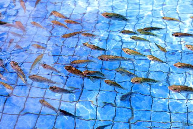 金汤国际温泉度假村