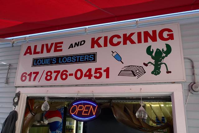 Alive and Kicking Lobster