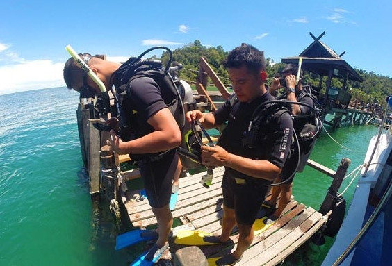 Downbelow Marine & Wildlife Adventures