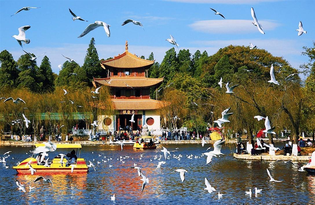 爽爽贵阳的旅游景区和美食九游体育- 九游体育官方网站- 九游娱乐APP下载- 助力世界杯