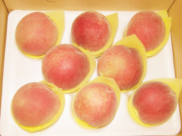 水蜜桃周家农场