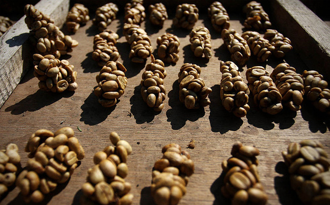 来雅加达什么值得买