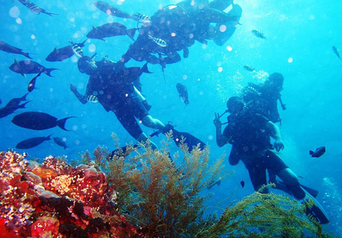 Liberty Dive Resort