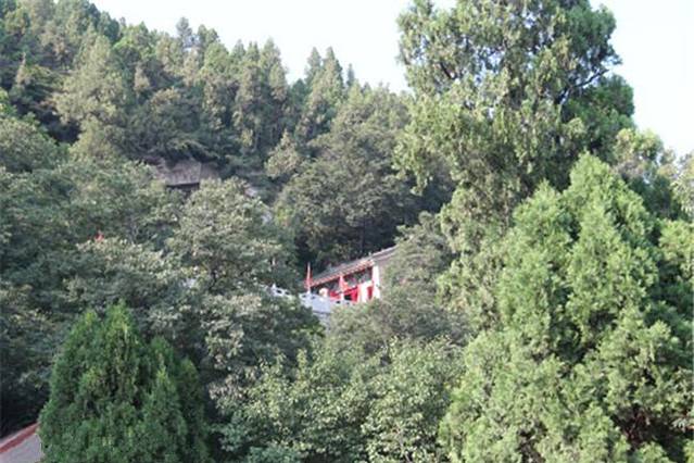 金粟山森林公园