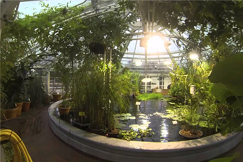 涅米植物园