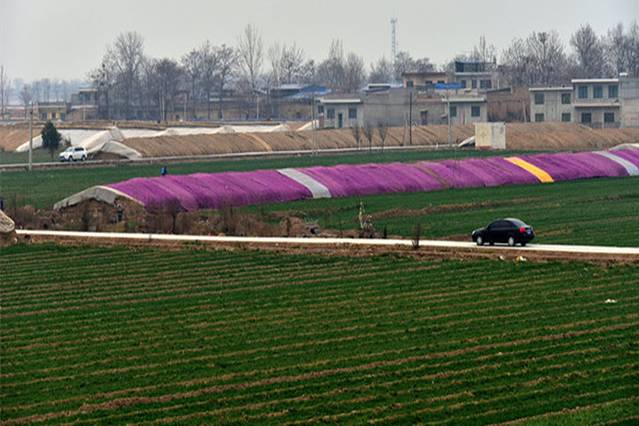 高陵场畔农耕文化生态观光产业园