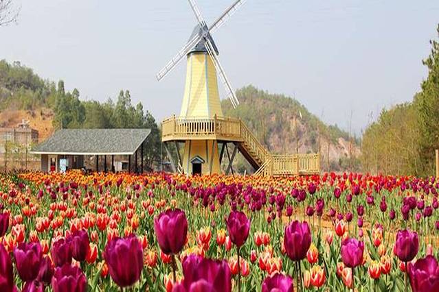 客林爱丽丝庄园