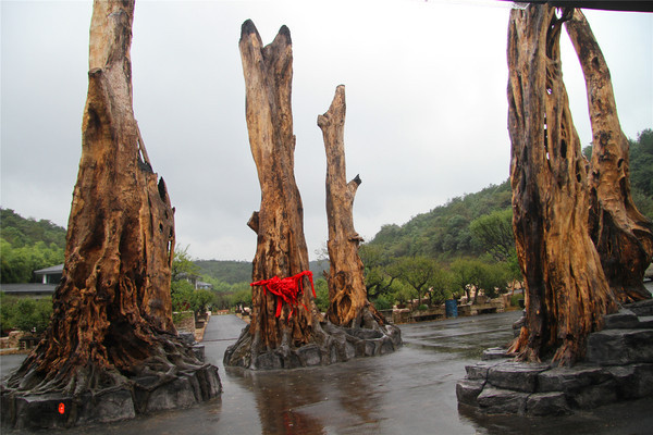 长兴古森林博物园