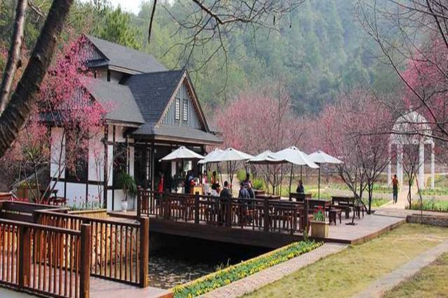 客林爱丽丝庄园