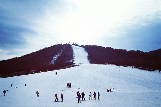 邯郸佛山青青冰雪乐园