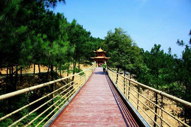 铁山坪森林公园