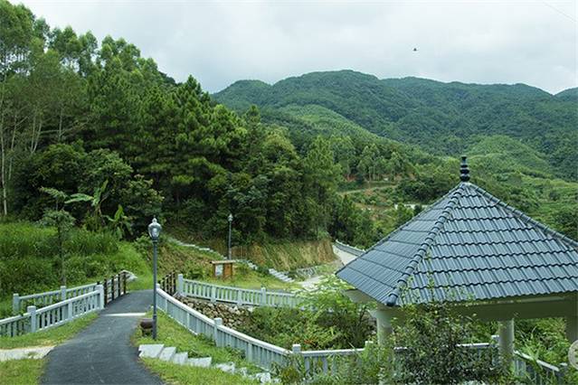 顶上生态风景区