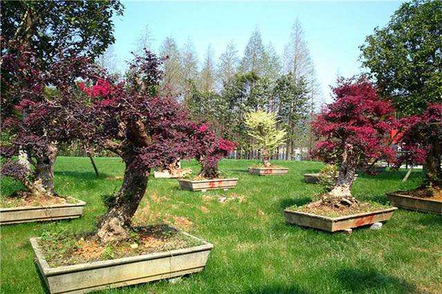 德清莫干山沈园户外营地