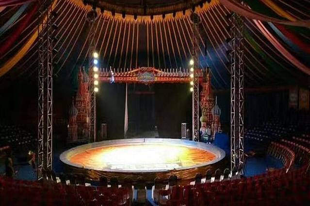 大同五国皇家马戏