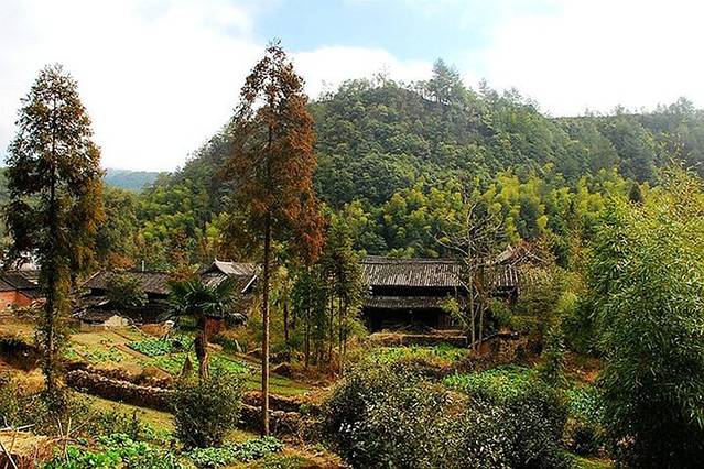 墟里·徐岙底社区