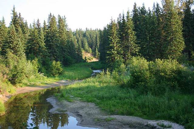 Whitemud Park & Nature Reserve