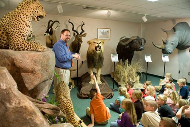 Children's Educational Wildlife Museum