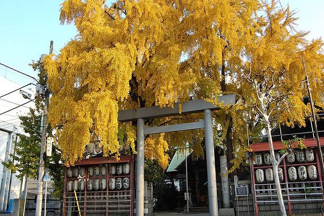 波除神社