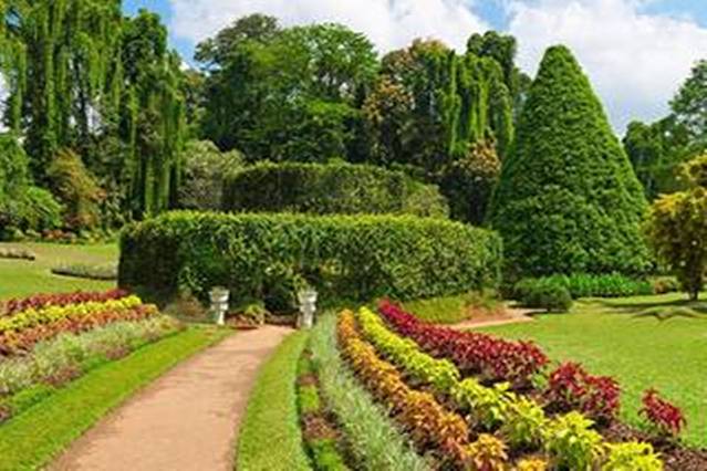 马塔莱香料花园