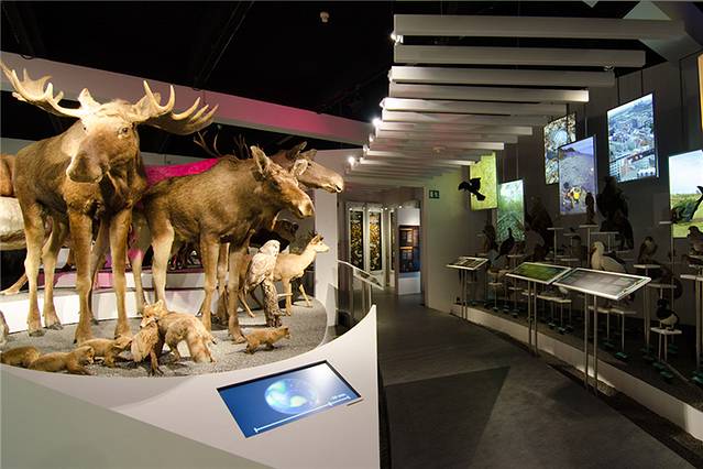 奥胡斯自然历史博物馆