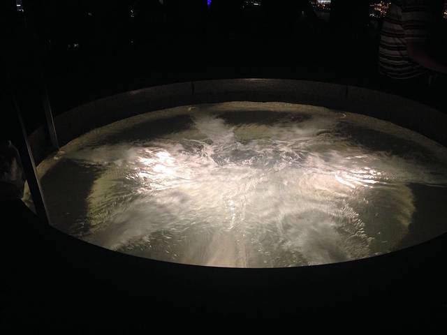 上海外滩茂悦大酒店·非常时髦餐厅VUE Restaurant