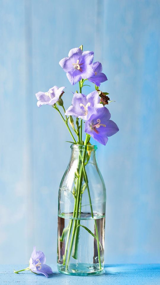 鑫泰·鑫派泰国料理(KKMALL京基百纳空间店)