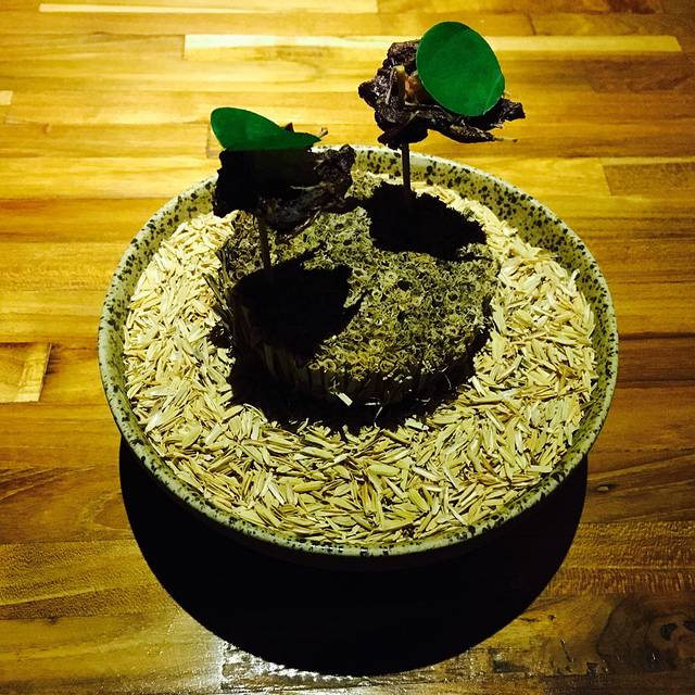 Herbivore by Locavore Group