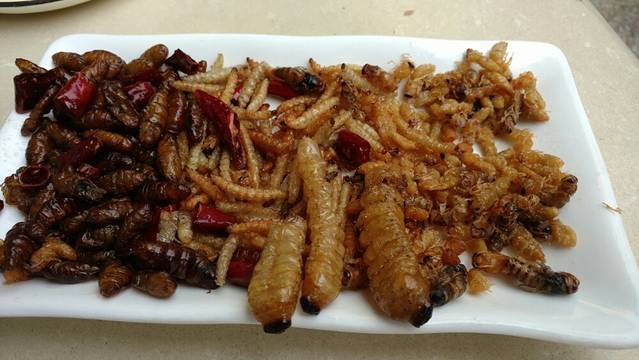 京川野菌王(总店)