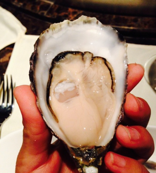 Oyster Talks 四度蚝(工体店)