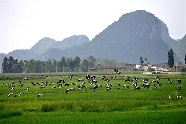 西荒国家湿地公园