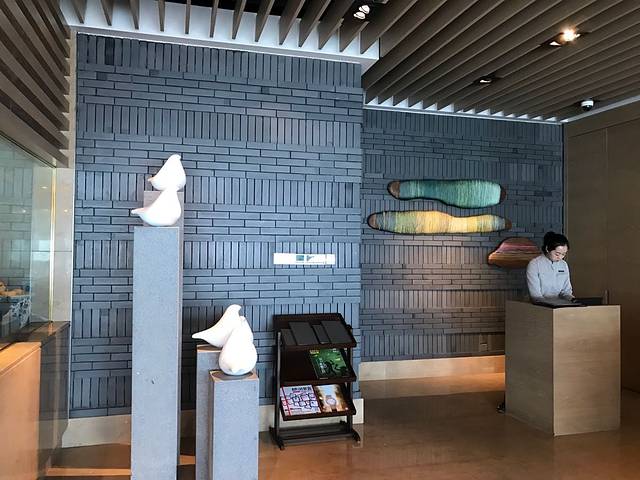 无锡苏宁银河国际酒店·悦府65