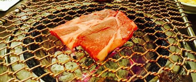 Endurance Korean Beef