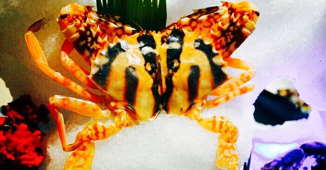 宴御海鲜姿造(桐梓林店)