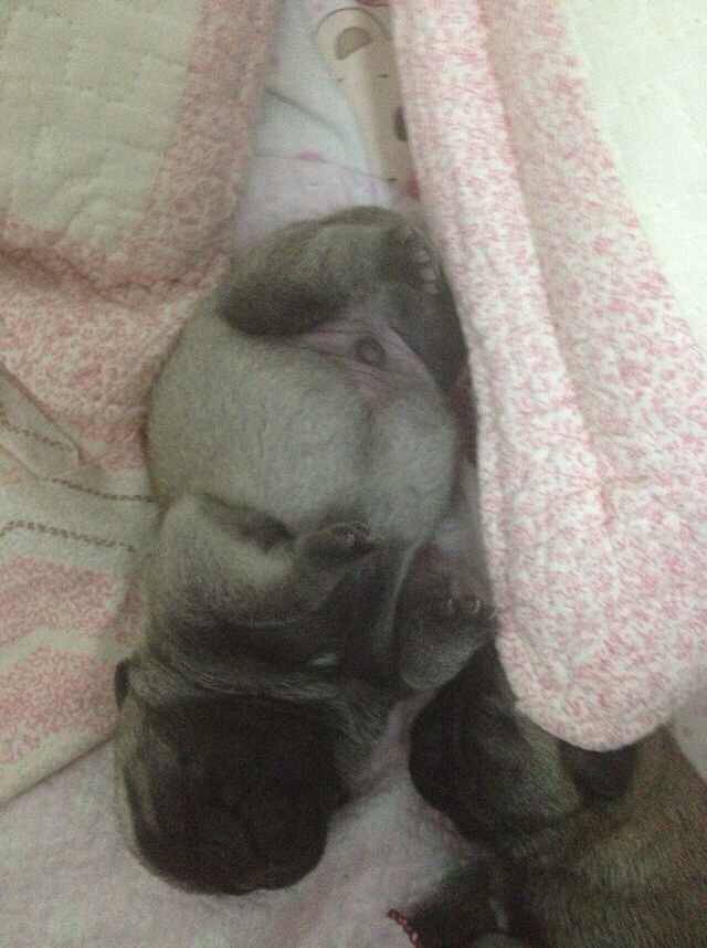 MAYA玛雅墨西哥餐厅(四方新城店)