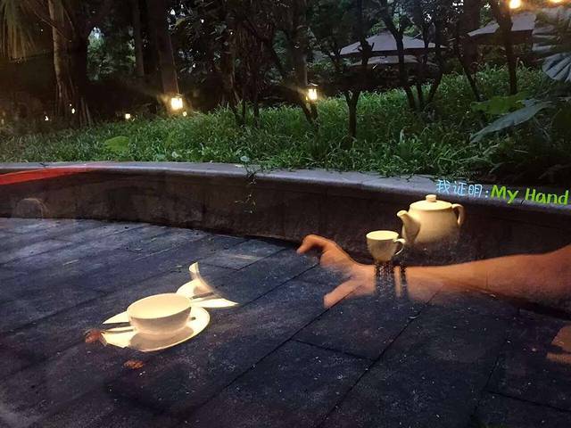 炳胜·禅意茶素