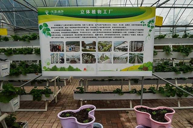 长兴花卉植物园