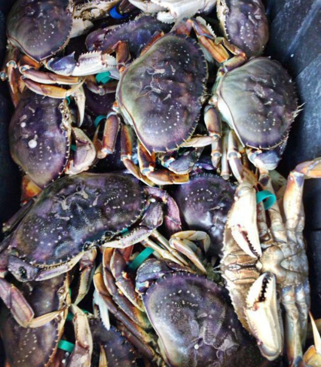 Crab Station at Fishermans Wharf