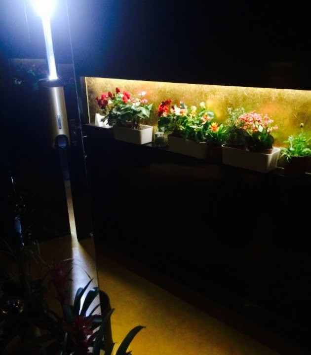 Da Ivo哒伊沃意大利魔镜餐厅(外滩店)