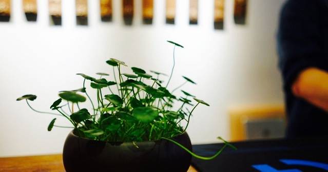 一面春风(武康路店)