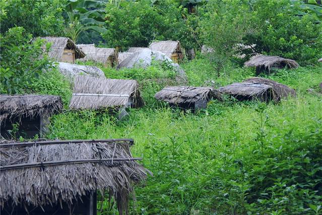 广东惠东古田省级自然保护区