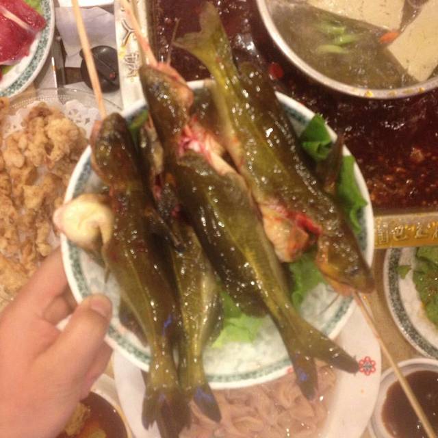 南方花园鸭肠王(科园四路店)