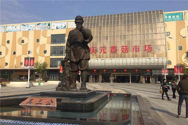庆元香菇市场