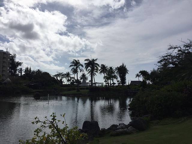 American Pizza & Grill