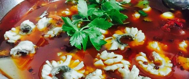 龙滋鲜重庆乌鱼庄(青羊大道店)