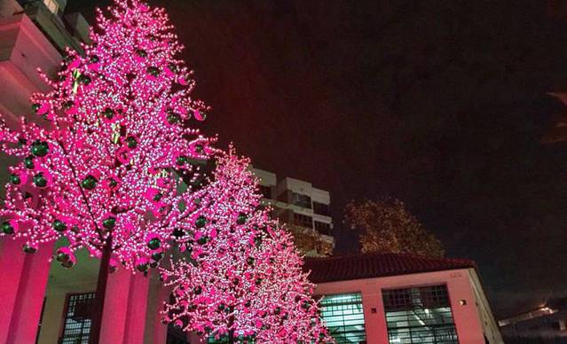 小红楼海鲜(国敦河畔大酒店)