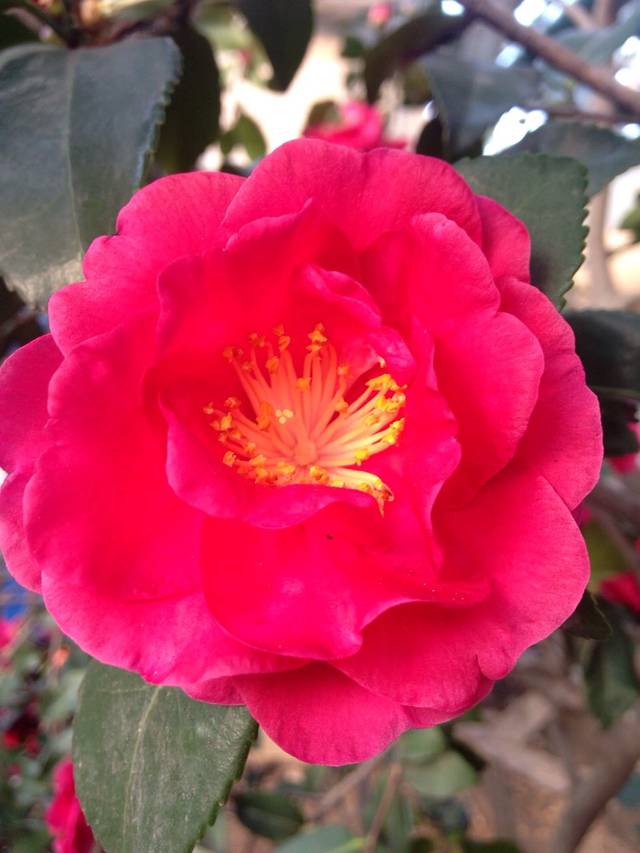 E见如故海鲜吧 . 品尝不一样的海鲜海曙店