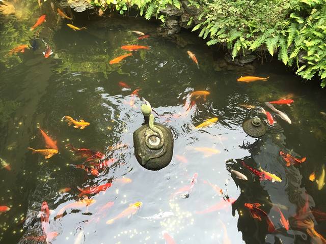 北园酒家(小北路店)