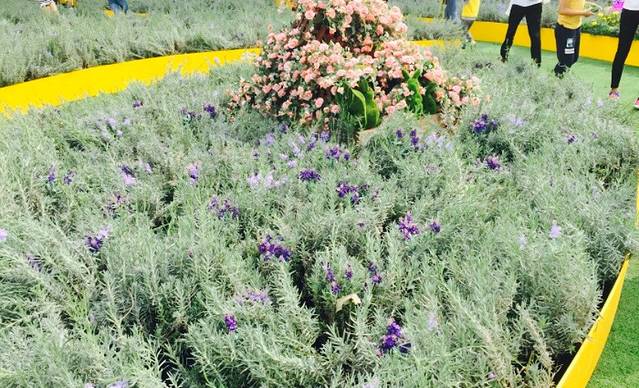 眉州小吃(曲江金地店)