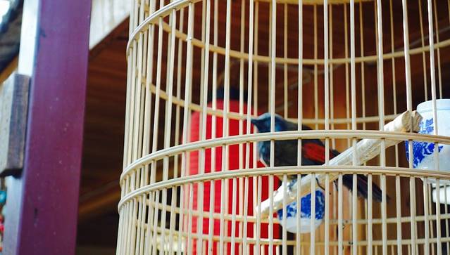 丽江庭院之爱在路上(西单店)